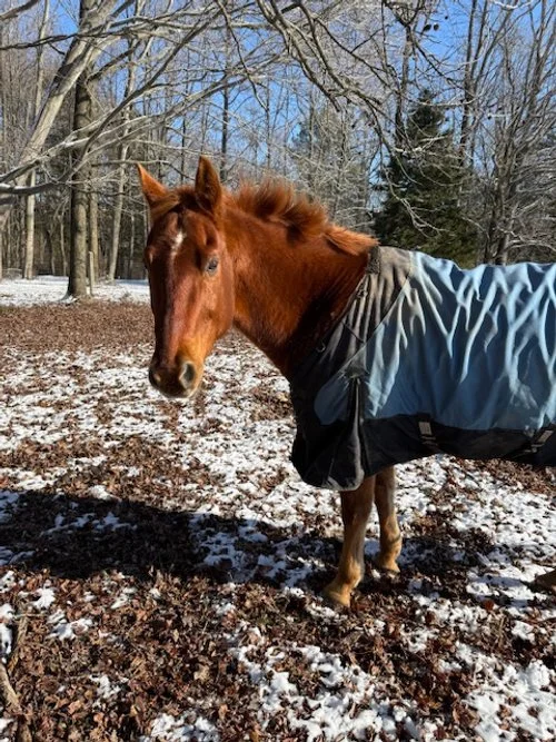 RIFF back field Copper penny. small star