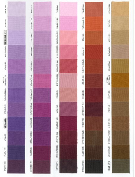2019 Kona Color Card purple.jpeg