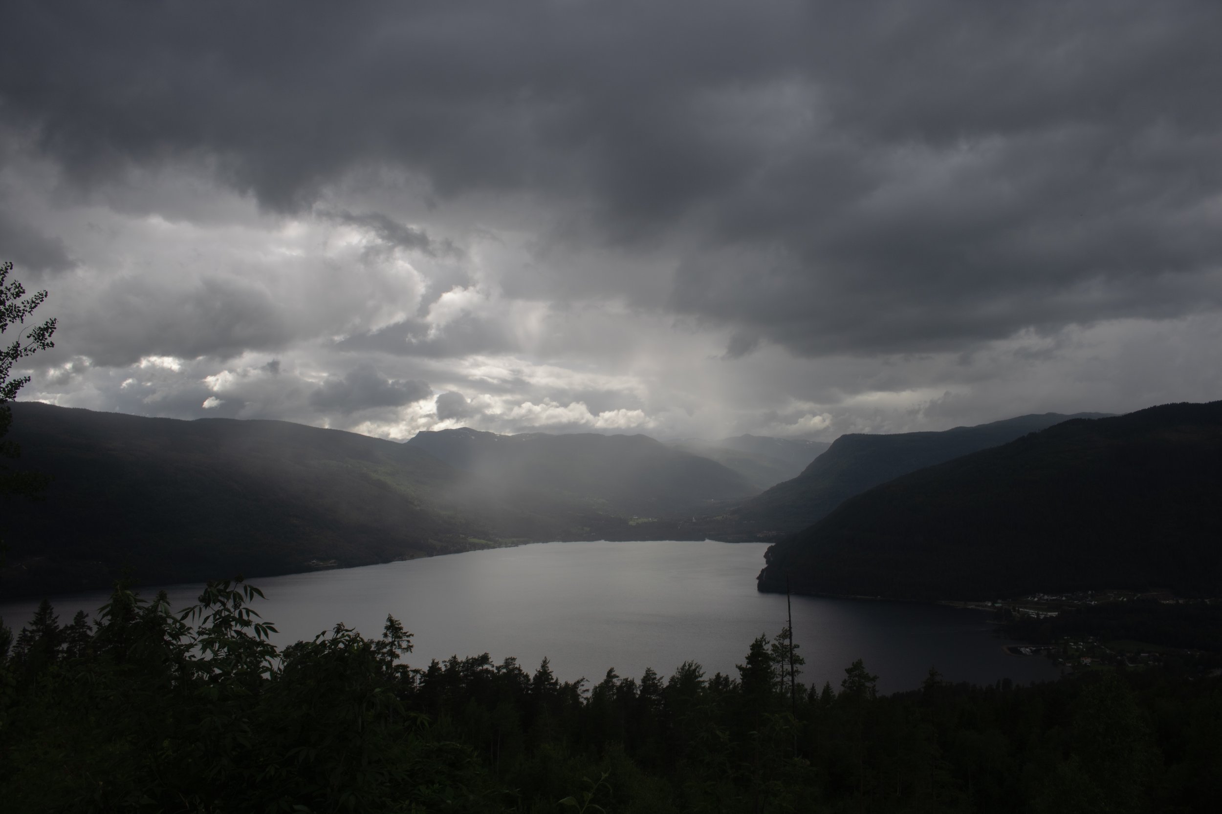 IMG_4261.jpg