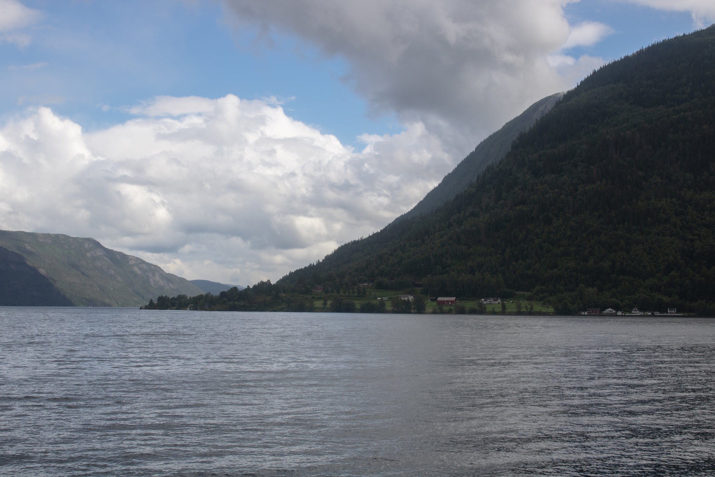 IMG_4240.jpg