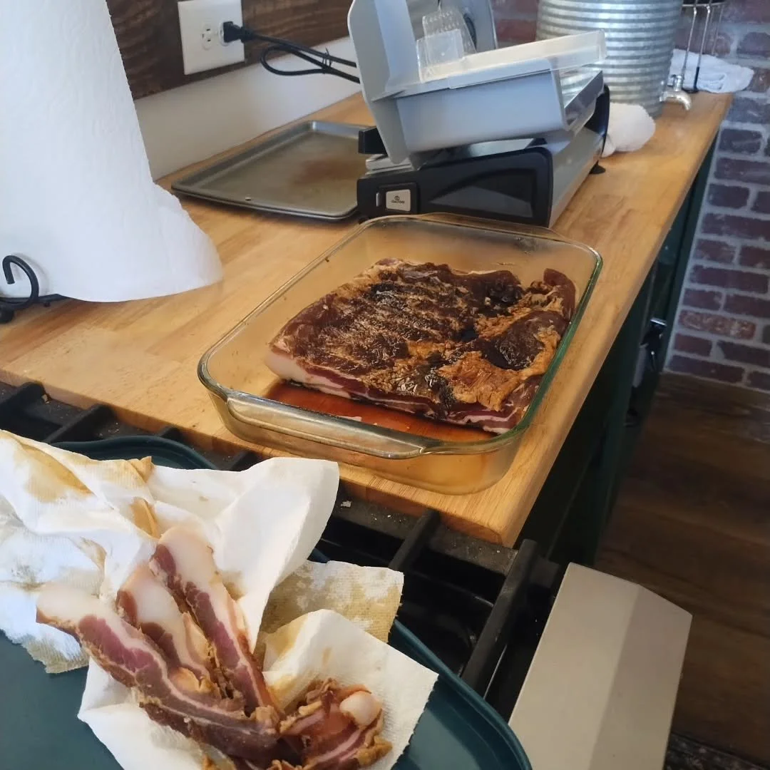 Home grown bacon! 

#oaksandarrowsfarm #baconwithoutthebadstuff #saltcuredbacon #americanguineahog