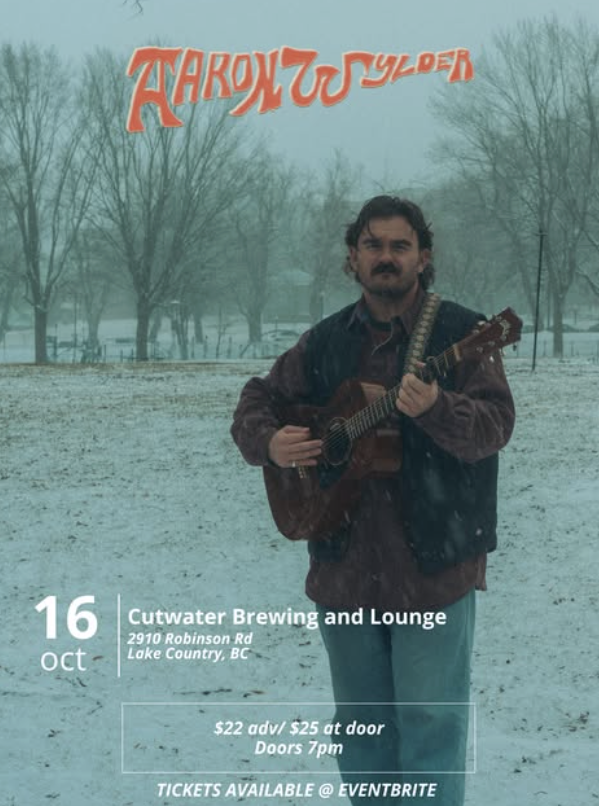 Aaron Wylder - Live Music