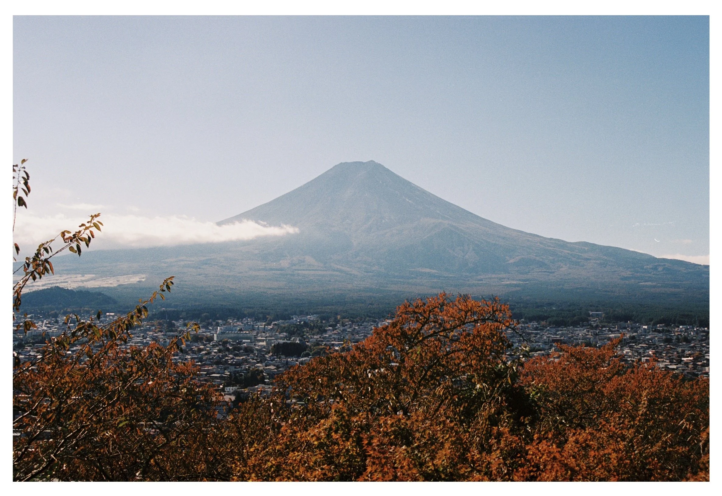 S280811-R1-041-19_VSCO.jpg