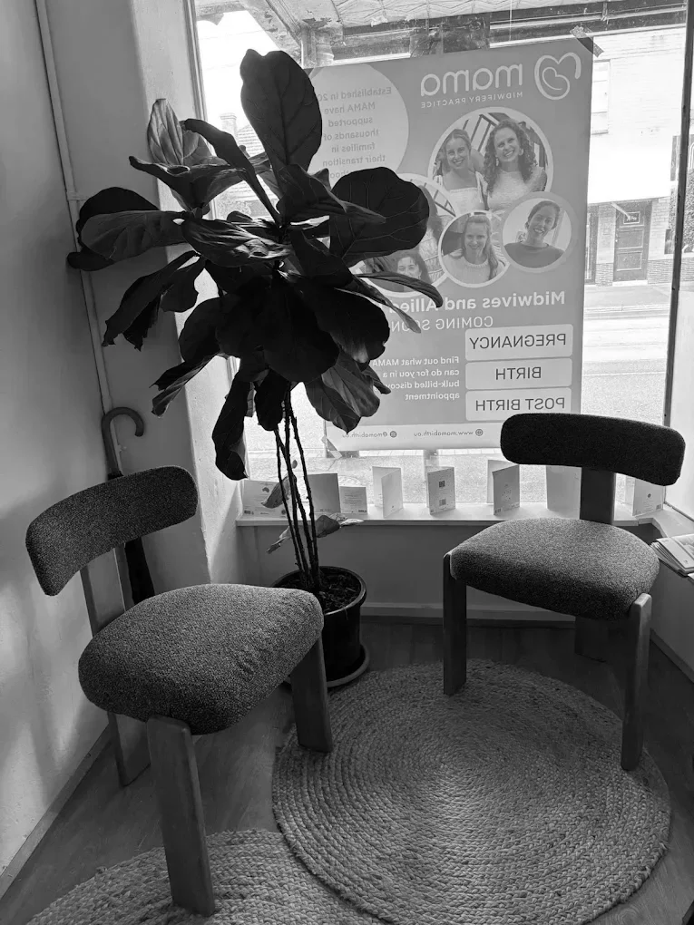 Private Midwife in Caulfield: What to Expect and Why It Matters