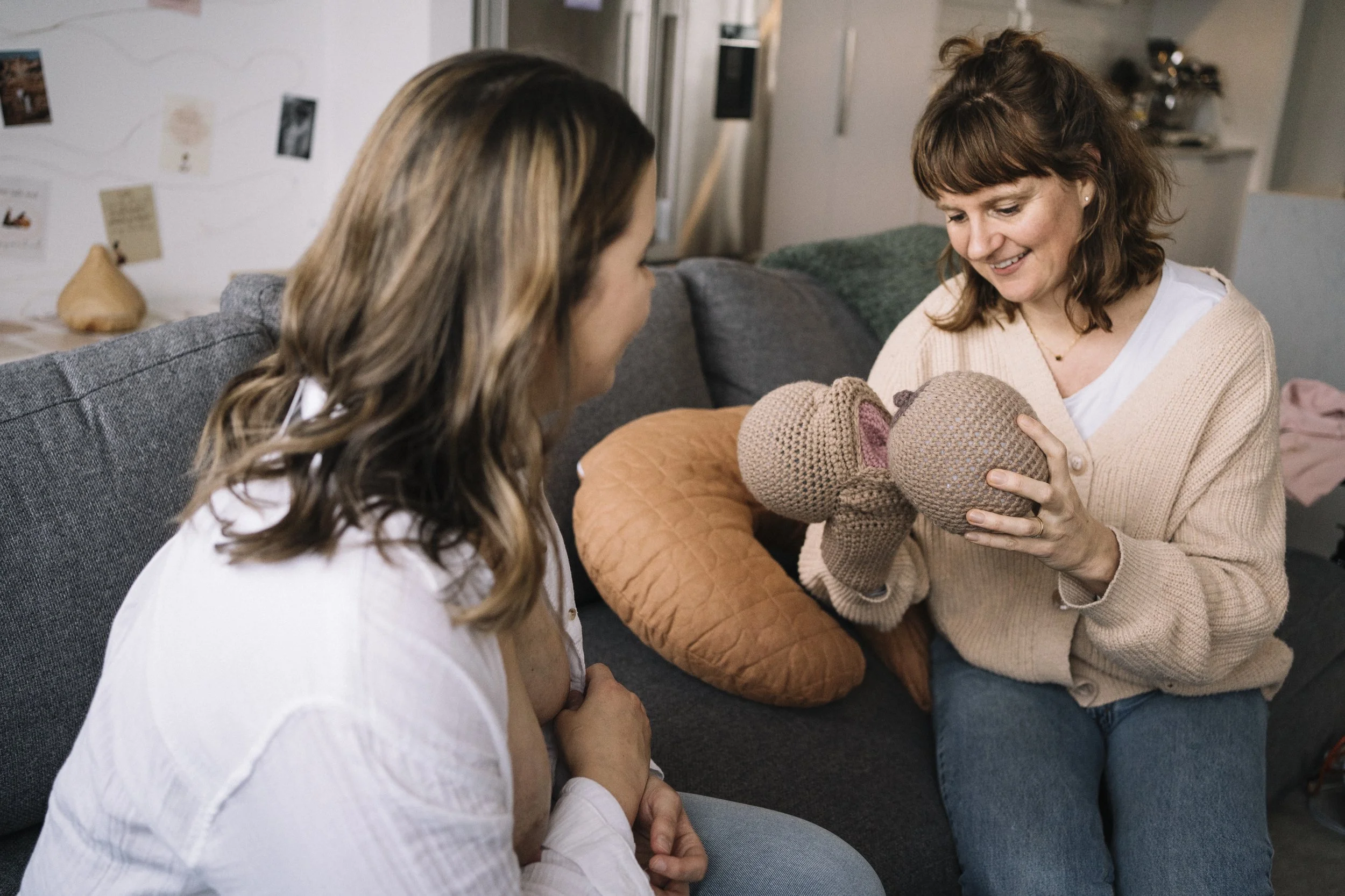 Breastfeeding support consultation with a lactation specialist demonstrating nursing techniques to a new mom