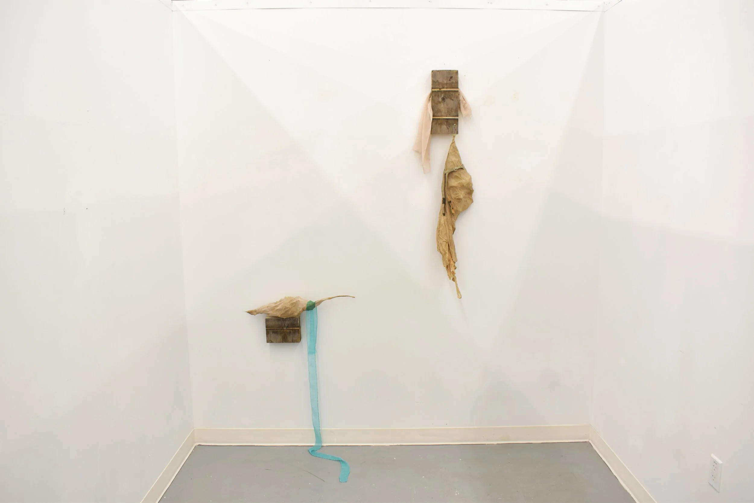 DSC_0424.png
