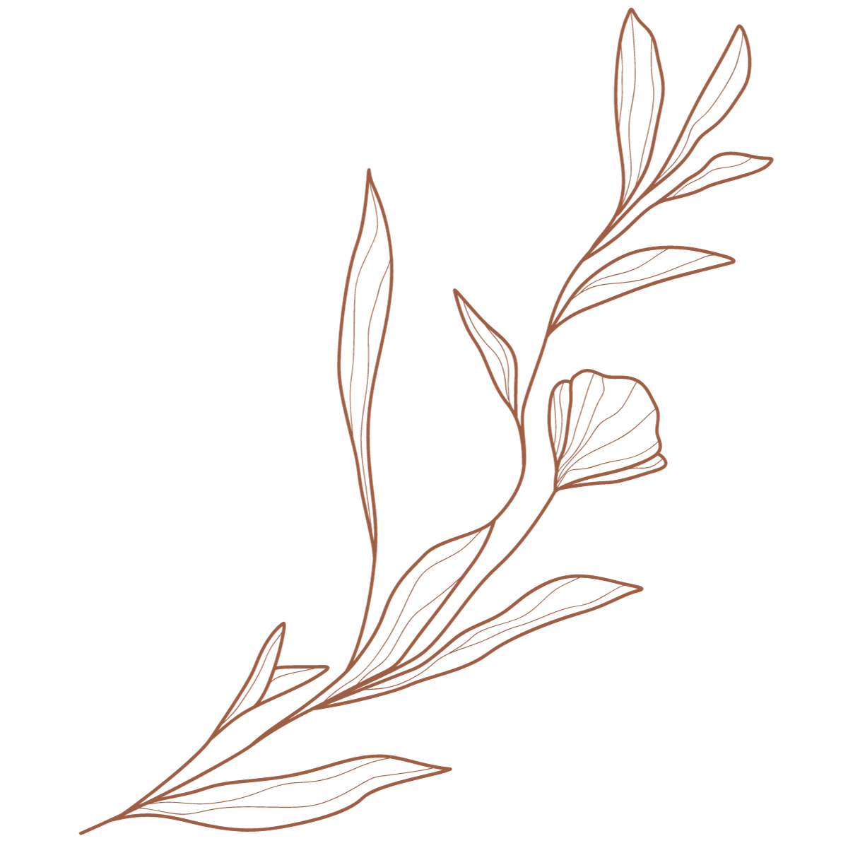 retreat-catering-sydney-green-remedy-kitchen-susan-thomson