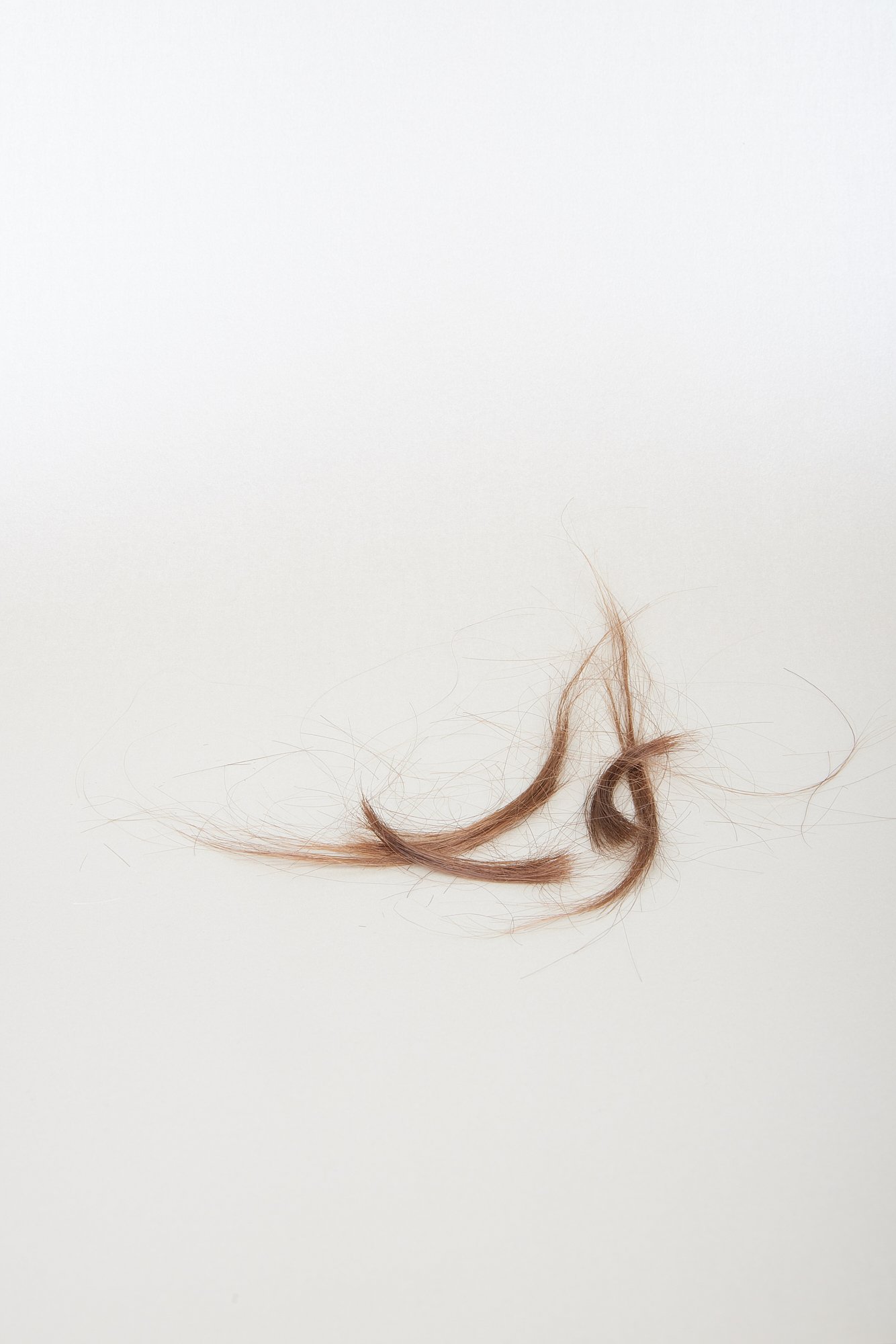 12_Julia Rohner_Haare_inst.jpg