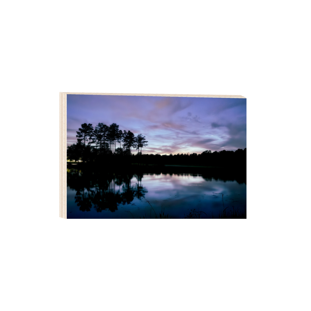 ptq_29_3_408_0_4398_2932_0_false_ffffff_0_0_.png