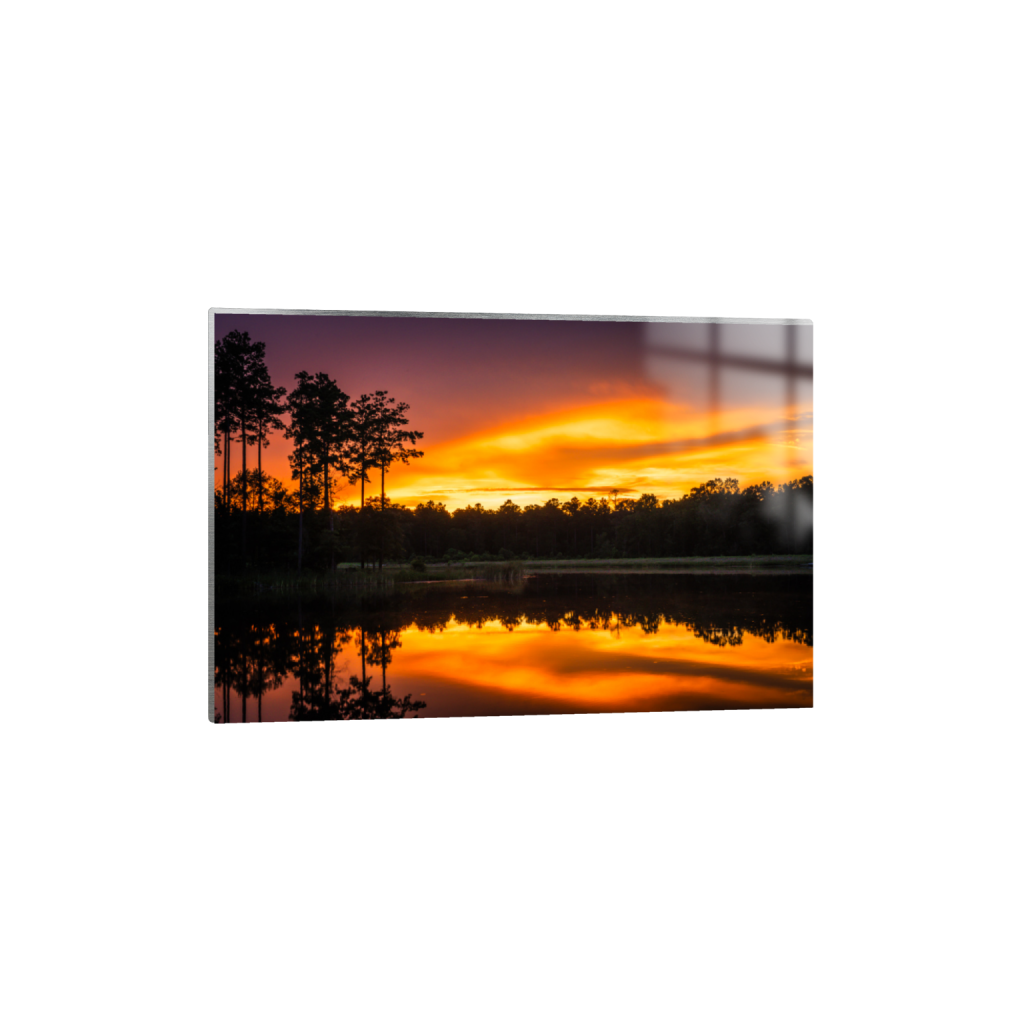 ptq_13_3_0_0_9094_6063_0_false_ffffff_0_0_.png