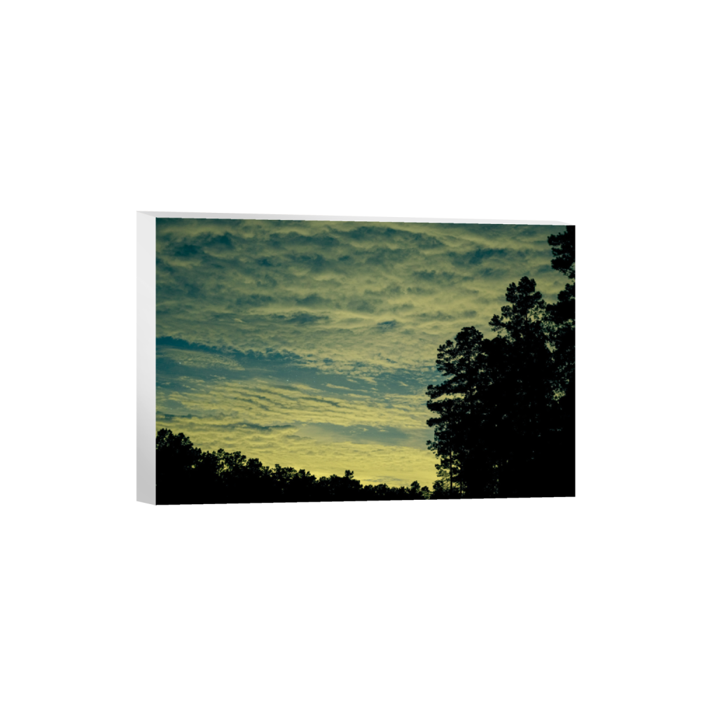 ptq_7_3_742_0_8019_5346_0_false_ffffff_0_0_.png