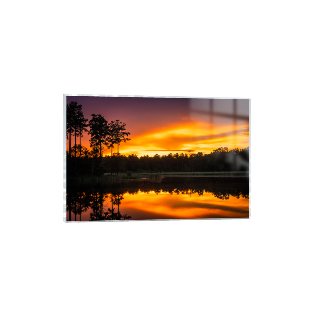 ptq_17_3_0_0_9094_6063_0_false_ffffff_0_0_.png