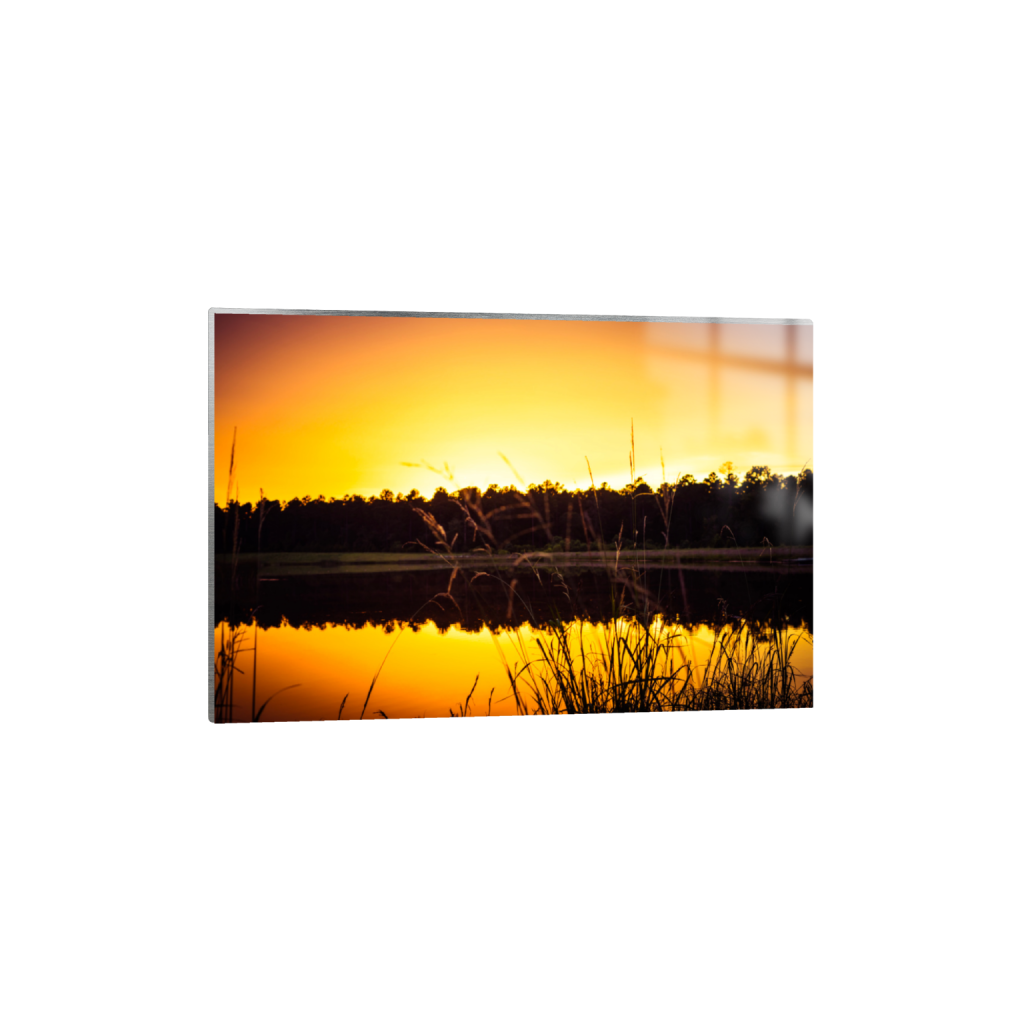 ptq_13_3_742_0_8019_5346_0_false_ffffff_0_0_.png