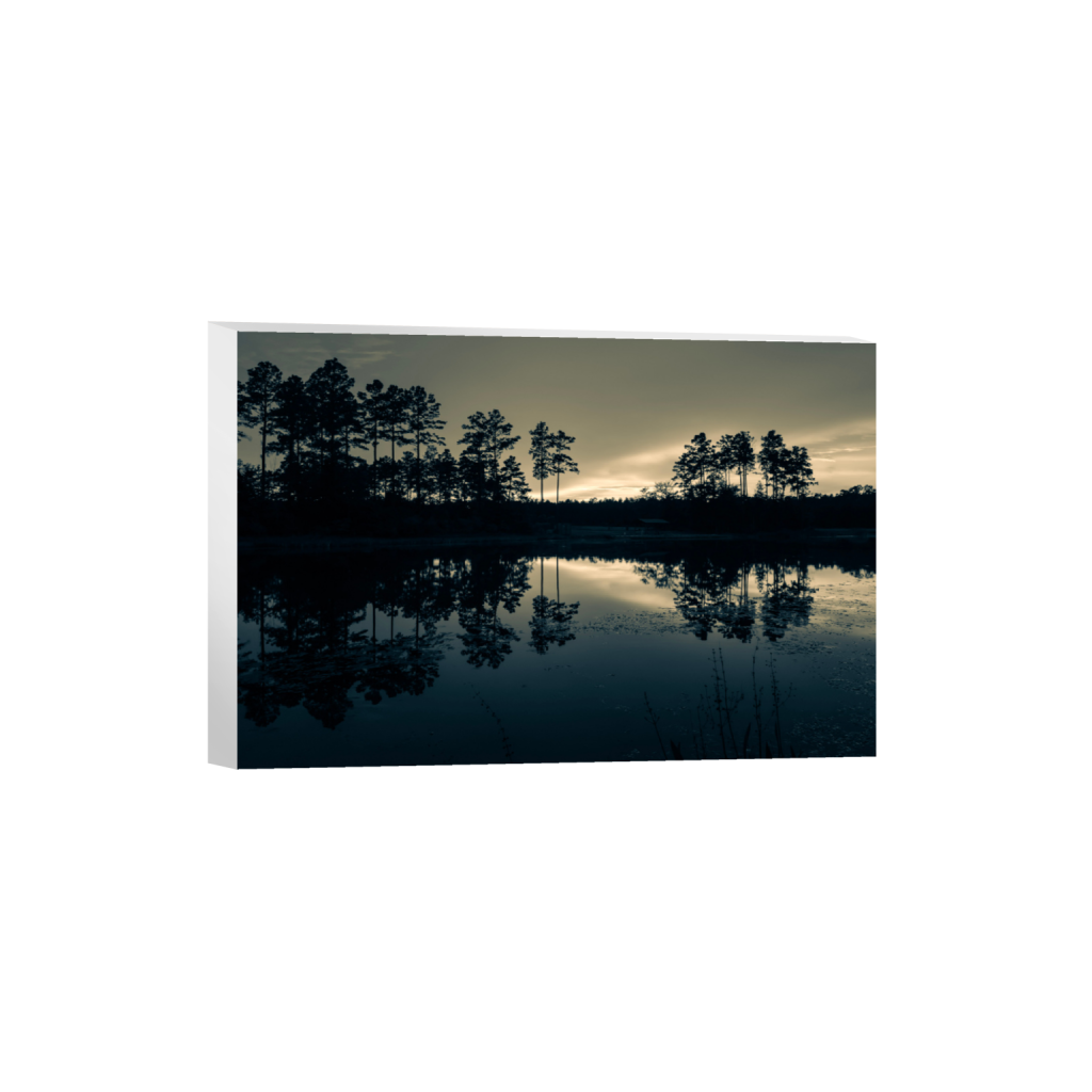 ptq_7_3_315_0_3402_2268_0_false_ffffff_0_0_.png
