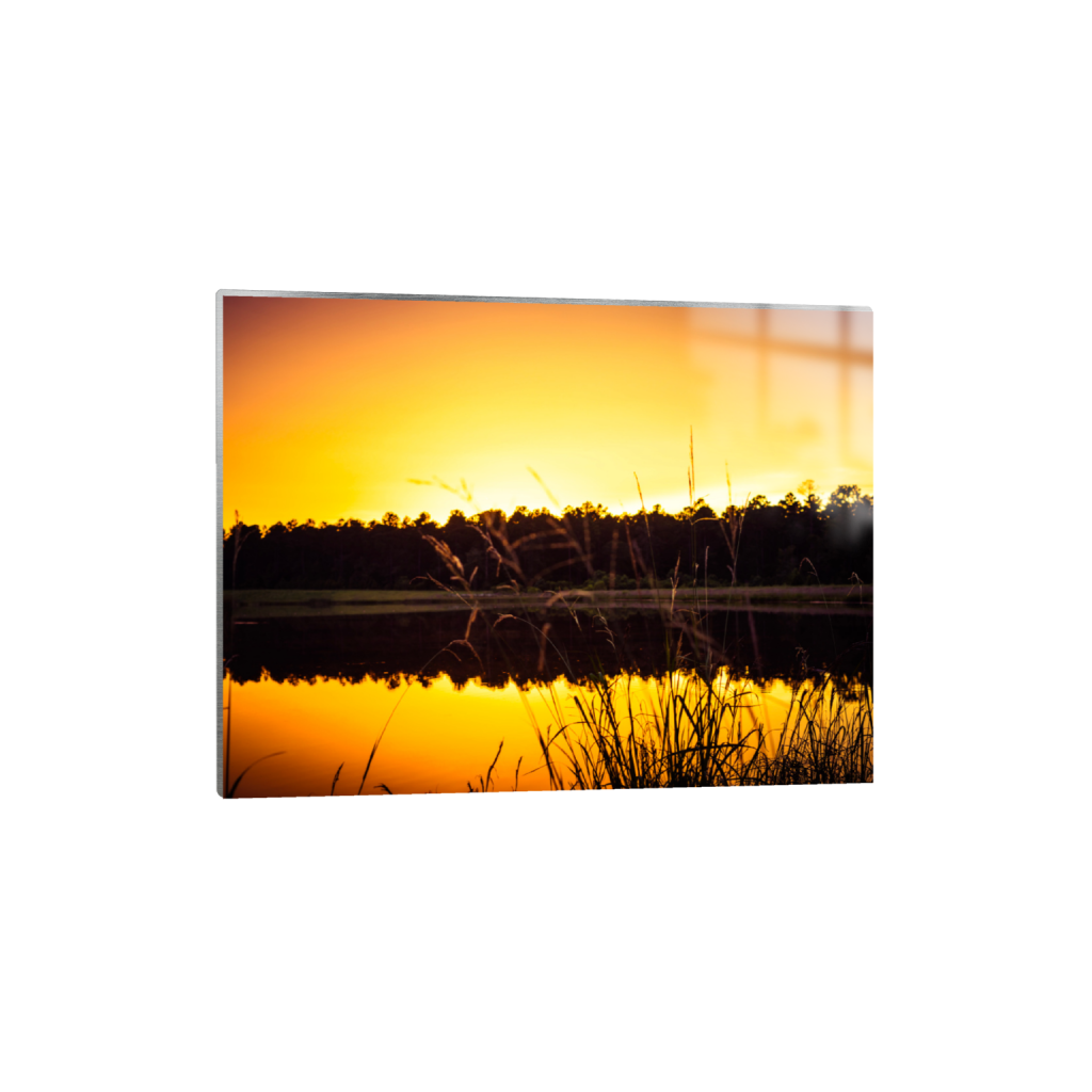ptq_13_5_1188_0_7128_5346_0_false_ffffff_0_0_.png