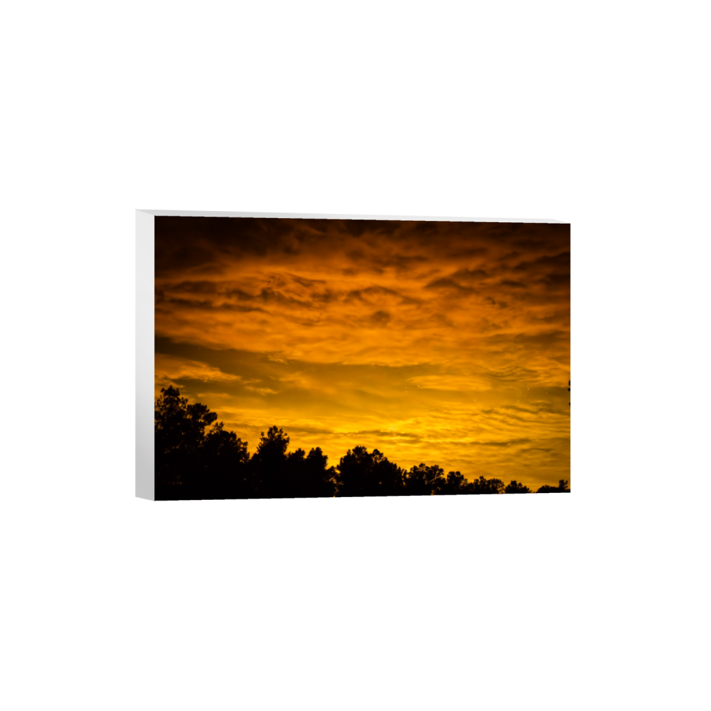 ptq_7_3_382_0_4132_2755_0_false_ffffff_0_0_.png