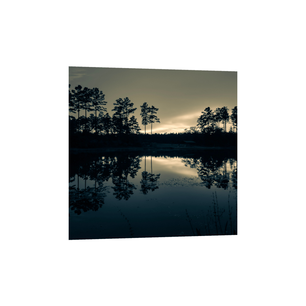ptq_1_0_882_0_2268_2268_0_false_ffffff_0_0_.png