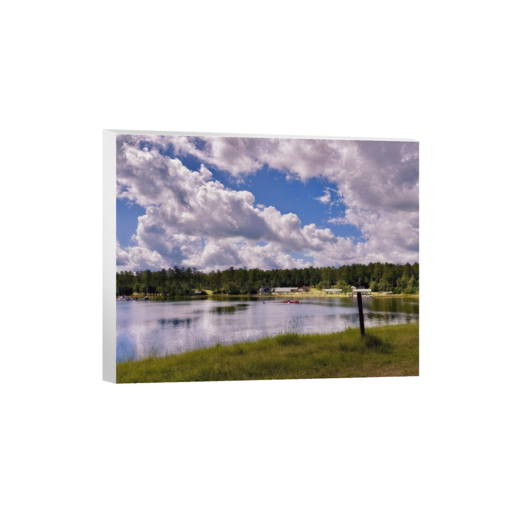 ptq_7_6_782_0_3701_2961_0_false_ffffff_0_0_.png