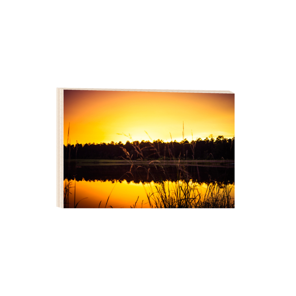 ptq_29_3_742_0_8019_5346_0_false_ffffff_0_0_.png