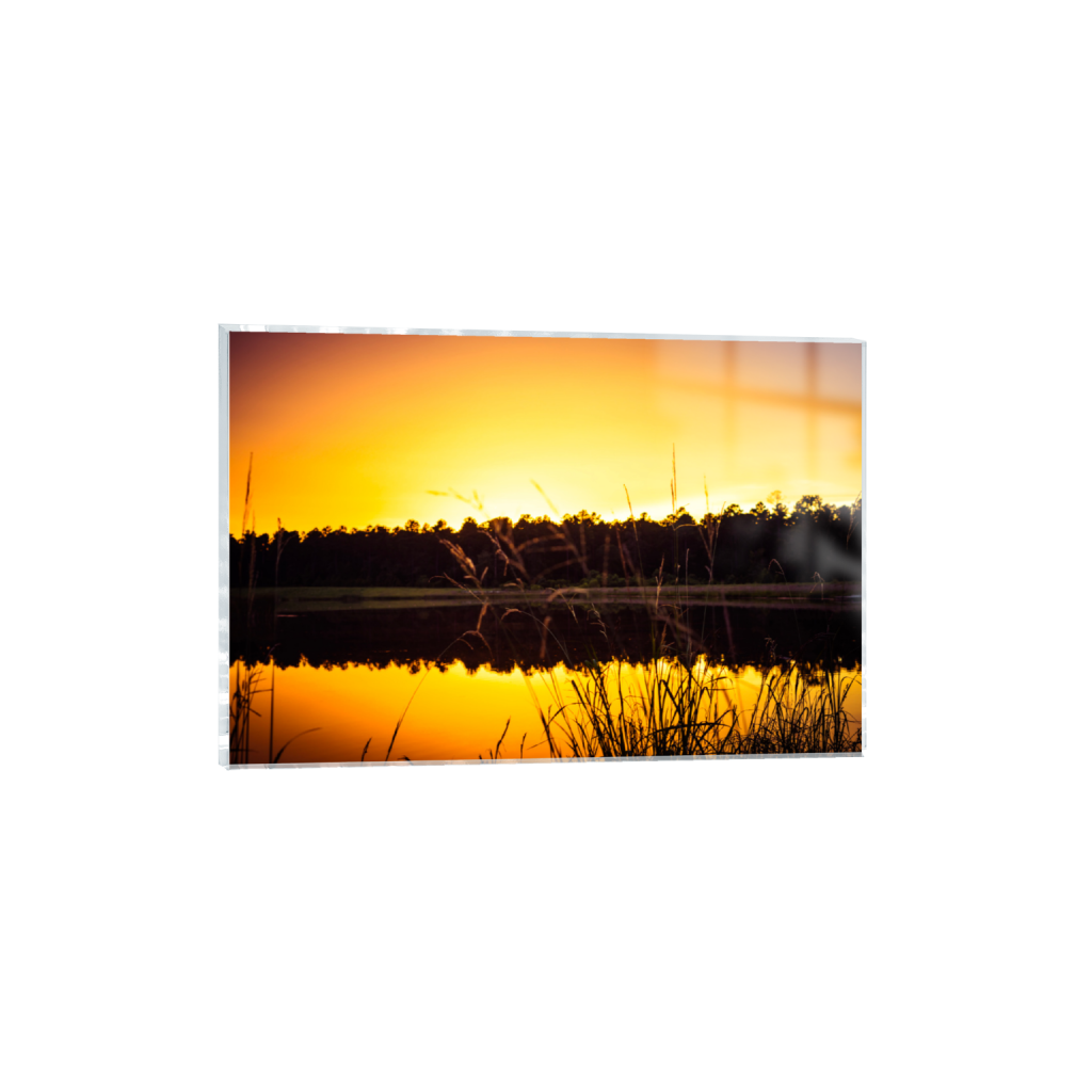 ptq_17_3_742_0_8019_5346_0_false_ffffff_0_0_.png