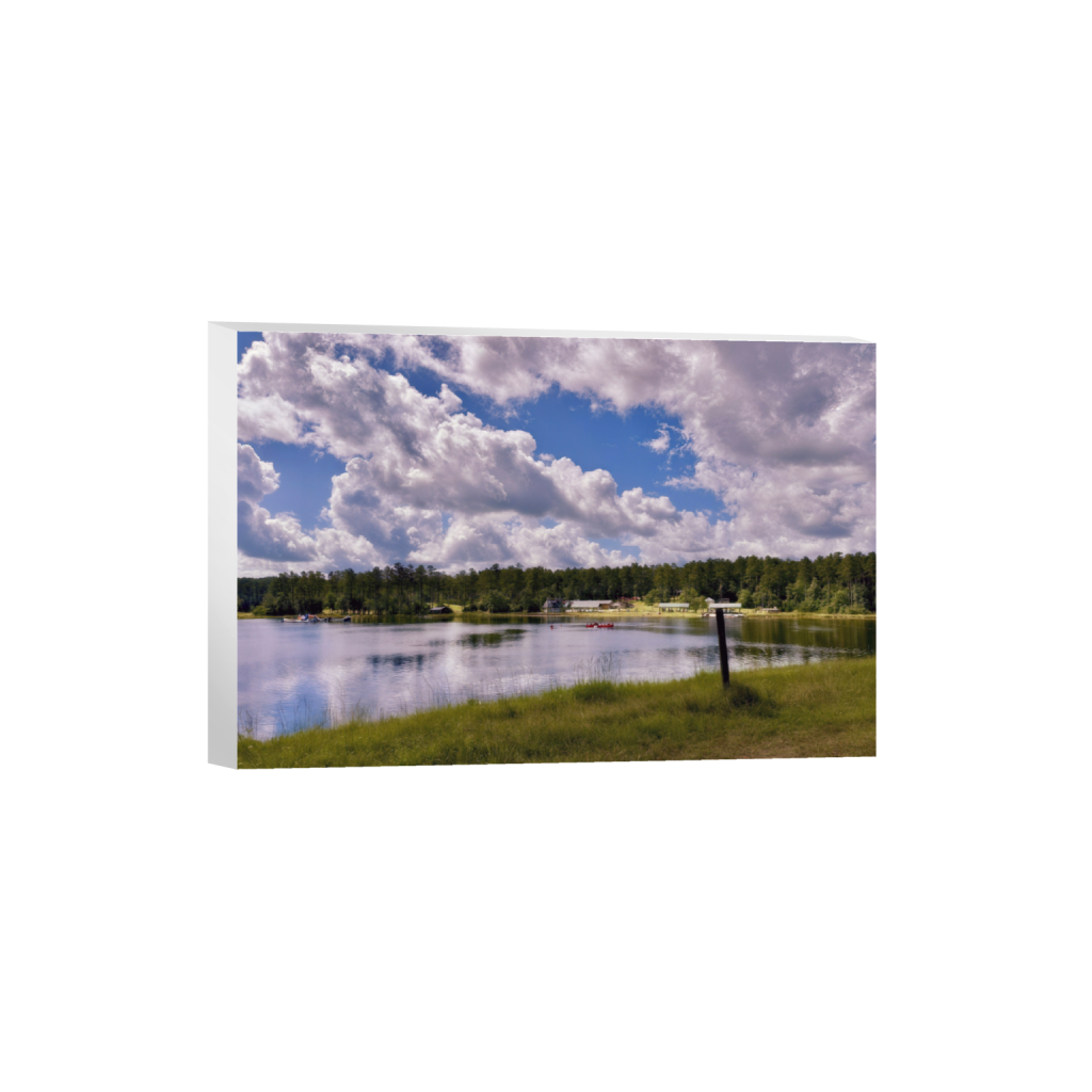ptq_7_3_412_0_4441_2961_0_false_ffffff_0_0_.png