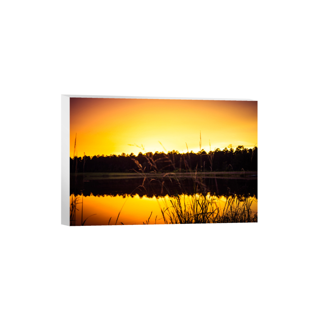 ptq_7_3_742_0_8019_5346_0_false_ffffff_0_0_.png
