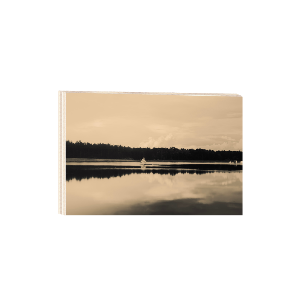 ptq_29_3_0_166_4024_2682_0_false_ffffff_0_0_.png
