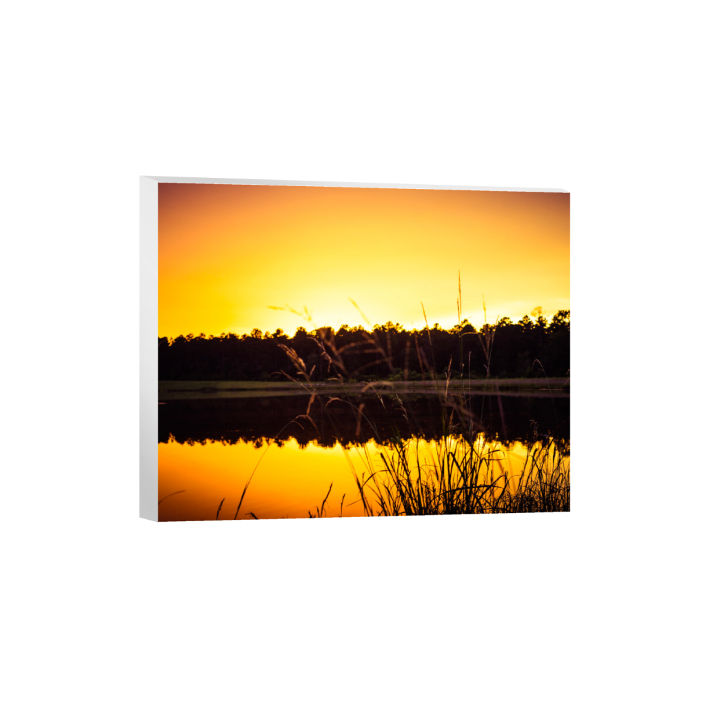 ptq_7_6_1410_0_6682_5346_0_false_ffffff_0_0_.png