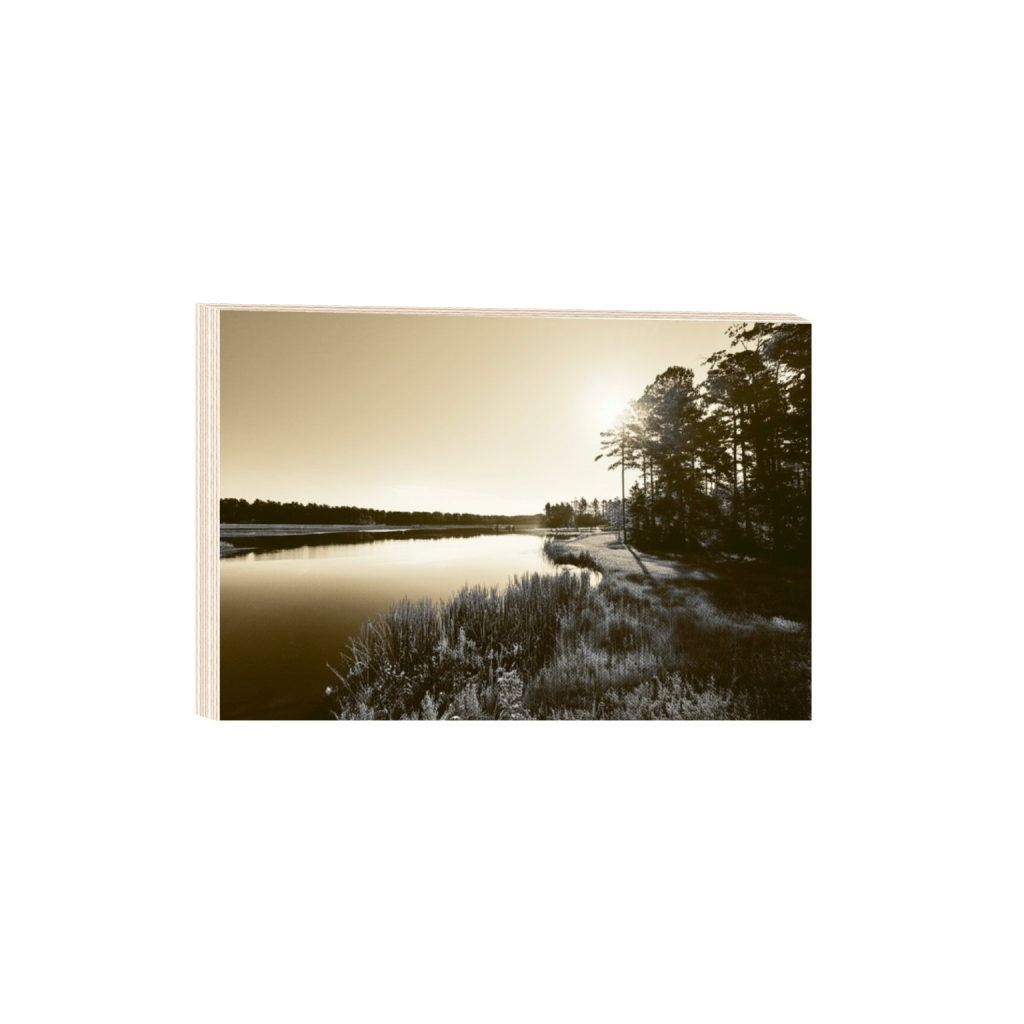ptq_29_3_0_42_1024_682_0_false_ffffff_0_0_.png