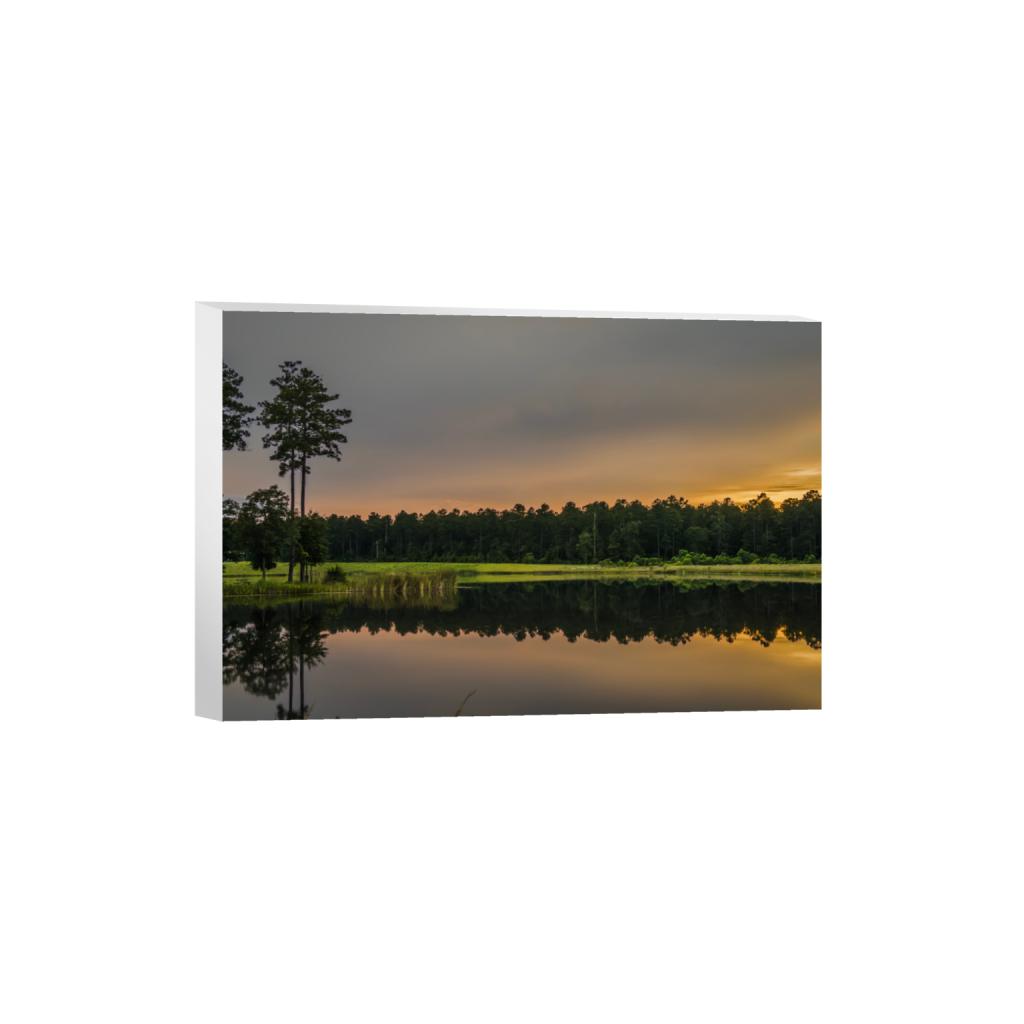 ptq_7_3_314_0_3396_2264_0_false_ffffff_0_0_.png