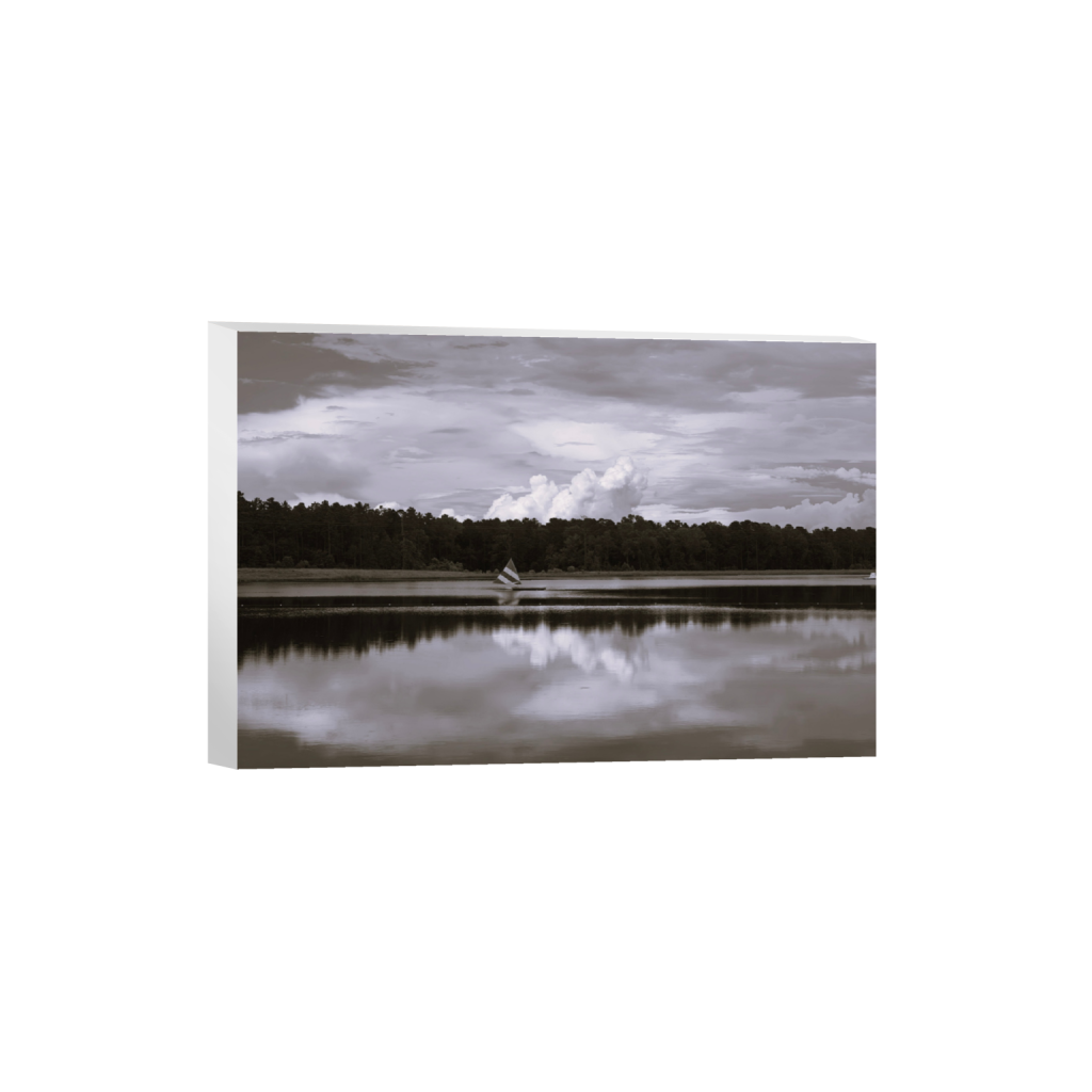ptq_7_3_305_0_3396_2264_0_false_ffffff_0_0_.png