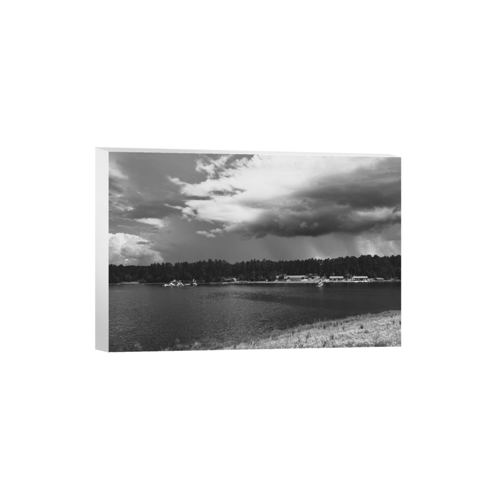 ptq_7_3_151_0_1641_1094_0_false_ffffff_0_0_.png