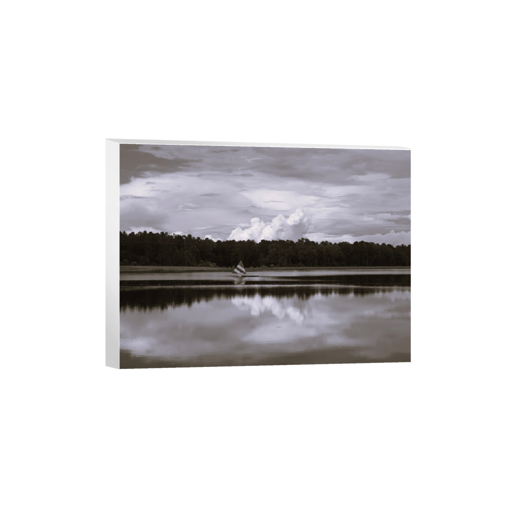 ptq_7_5_498_0_3018_2264_0_false_ffffff_0_0_.png