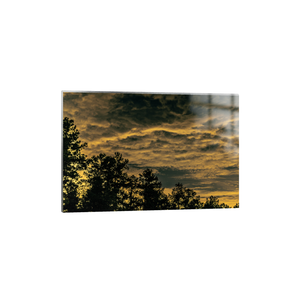ptq_13_3_742_0_8019_5346_0_false_ffffff_0_0_.png
