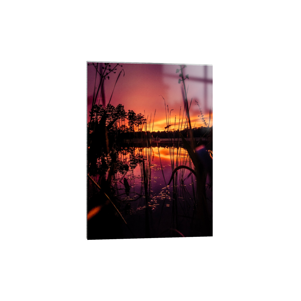 ptq_13_7_72_0_2880_4032_0_false_ffffff_0_0_.png