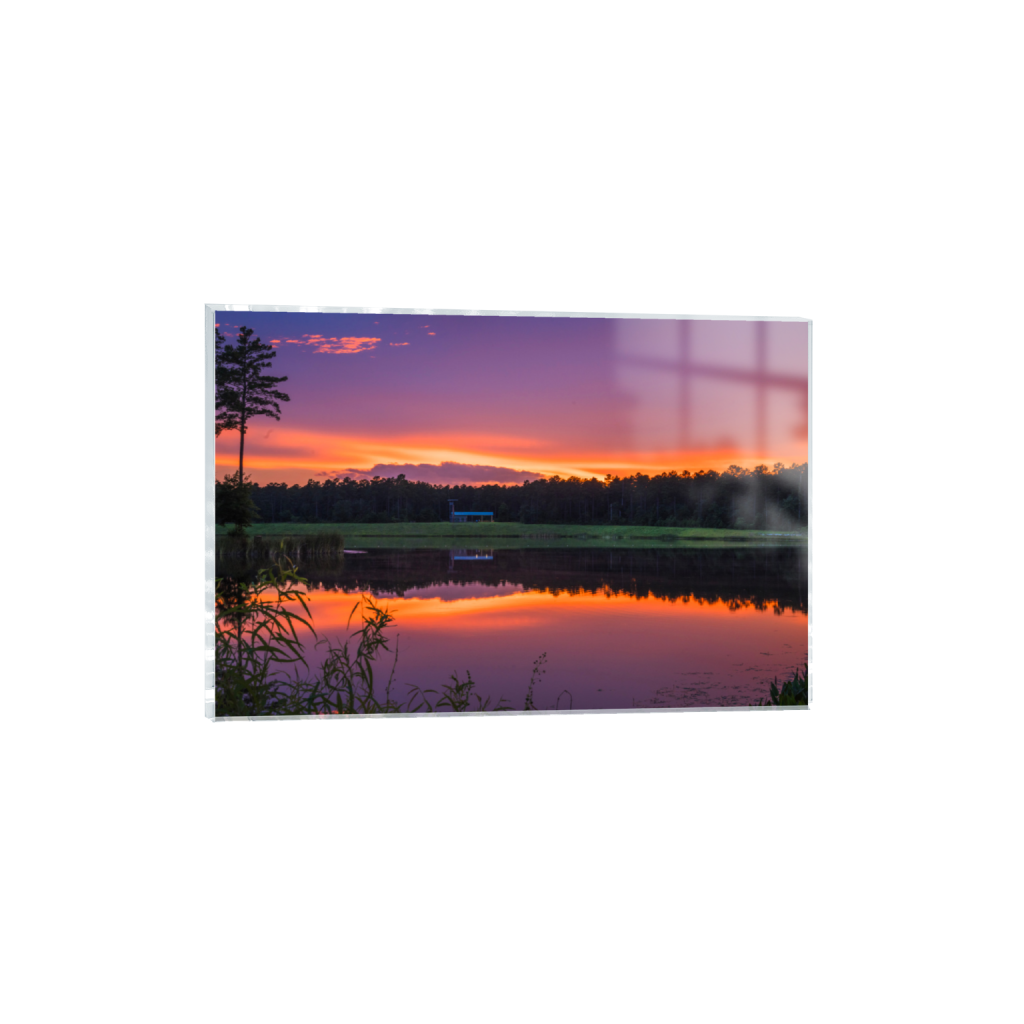 ptq_17_3_731_0_7903_5269_0_false_ffffff_0_0_.png