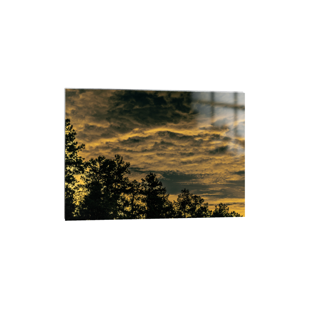 ptq_13_7_1009_0_7484_5346_0_false_ffffff_0_0_.png