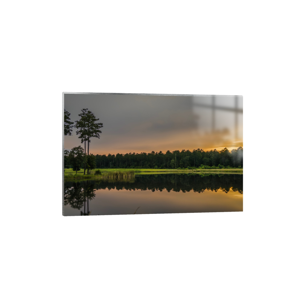 ptq_13_3_314_0_3396_2264_0_false_ffffff_0_0_.png