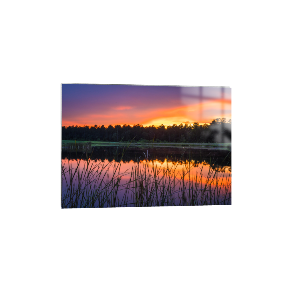 ptq_13_7_315_0_8835_6311_0_false_ffffff_0_0_.png