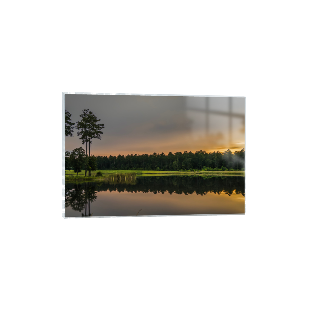 ptq_17_3_314_0_3396_2264_0_false_ffffff_0_0_.png