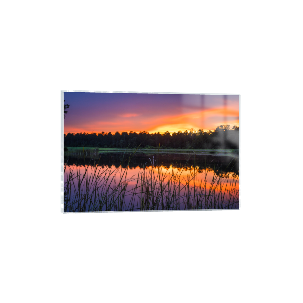 ptq_17_3_0_0_9466_6310_0_false_ffffff_0_0_.png