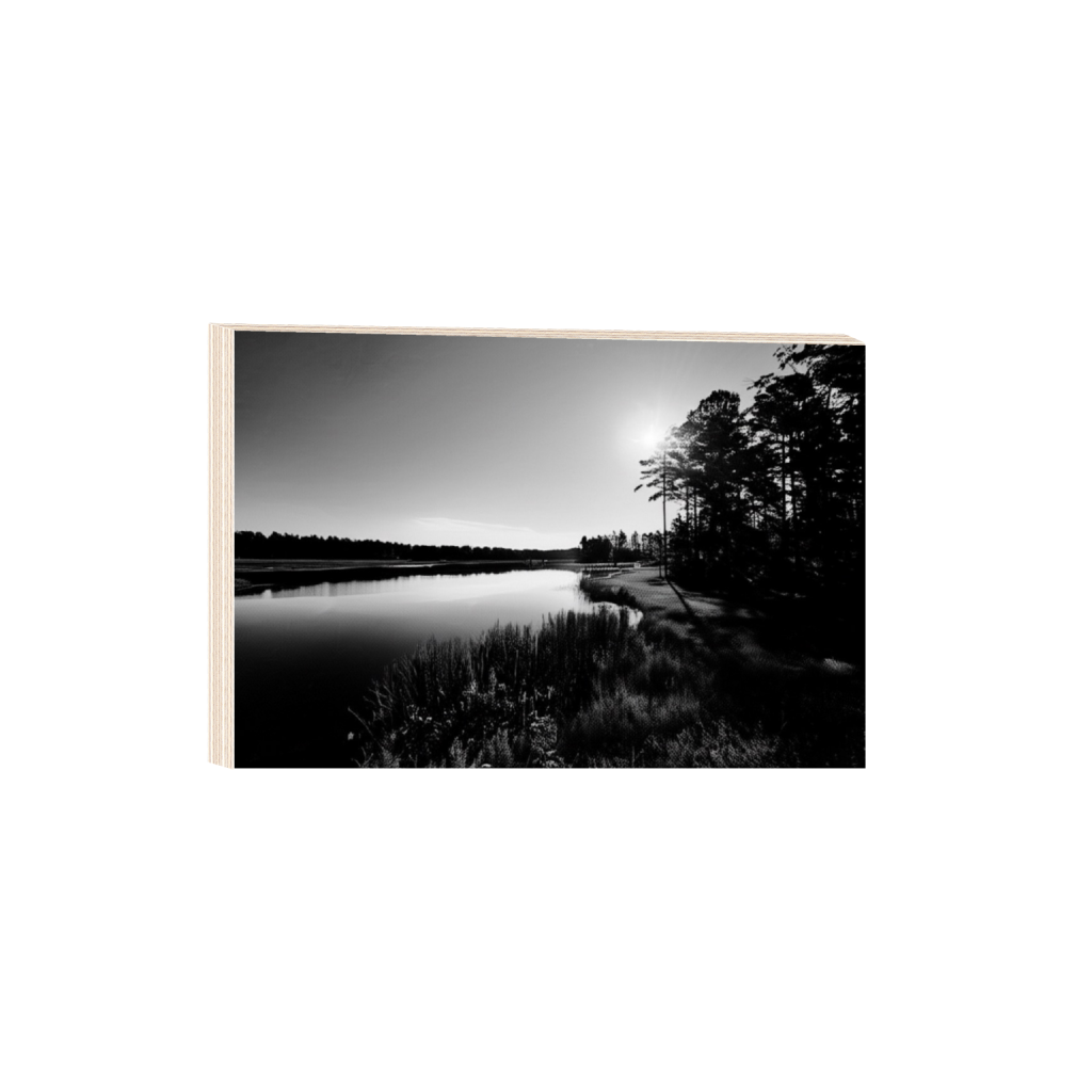 ptq_29_3_0_41_1024_682_0_false_ffffff_0_0_.png