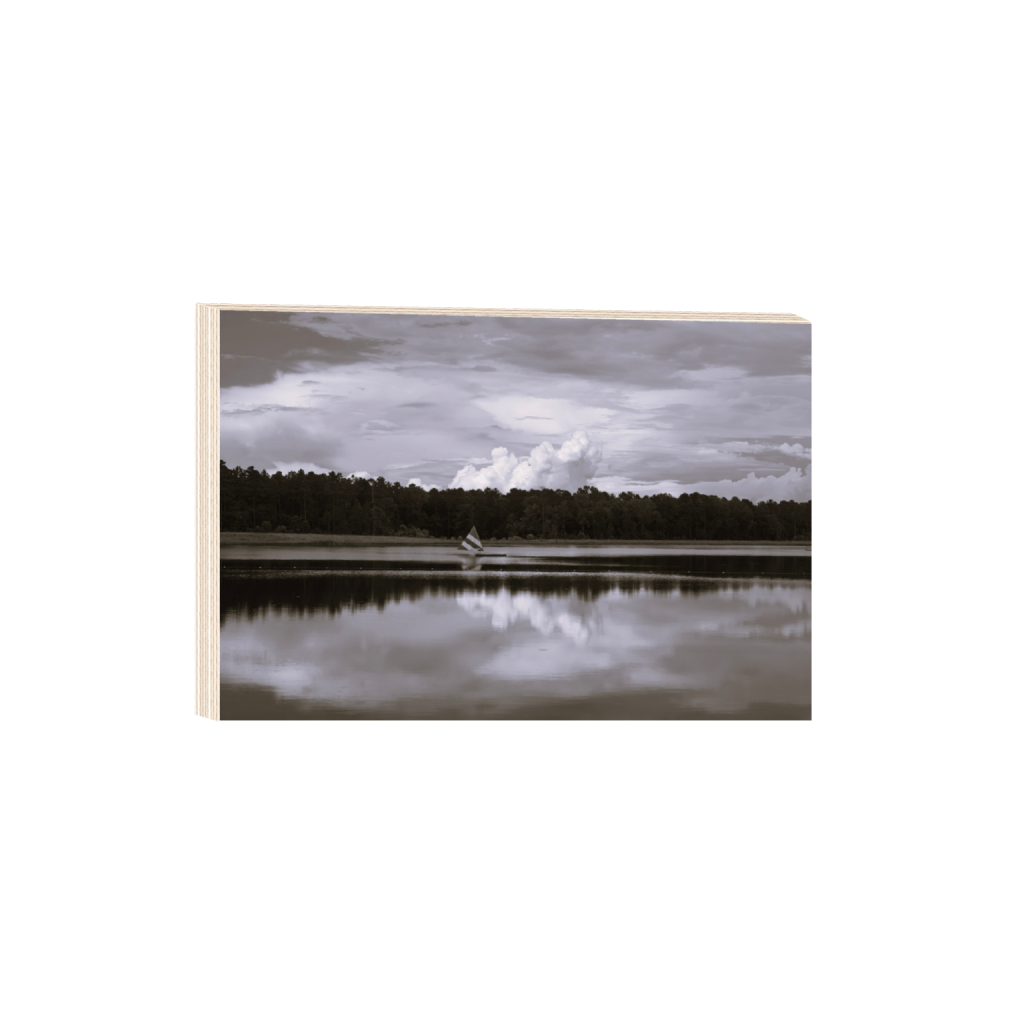 ptq_29_3_305_0_3396_2264_0_false_ffffff_0_0_.png
