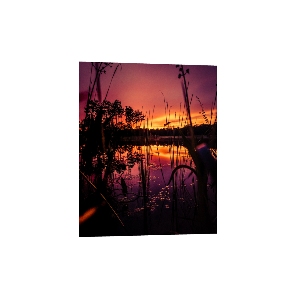 ptq_1_6_0_126_3024_3780_0_false_ffffff_0_0_.png