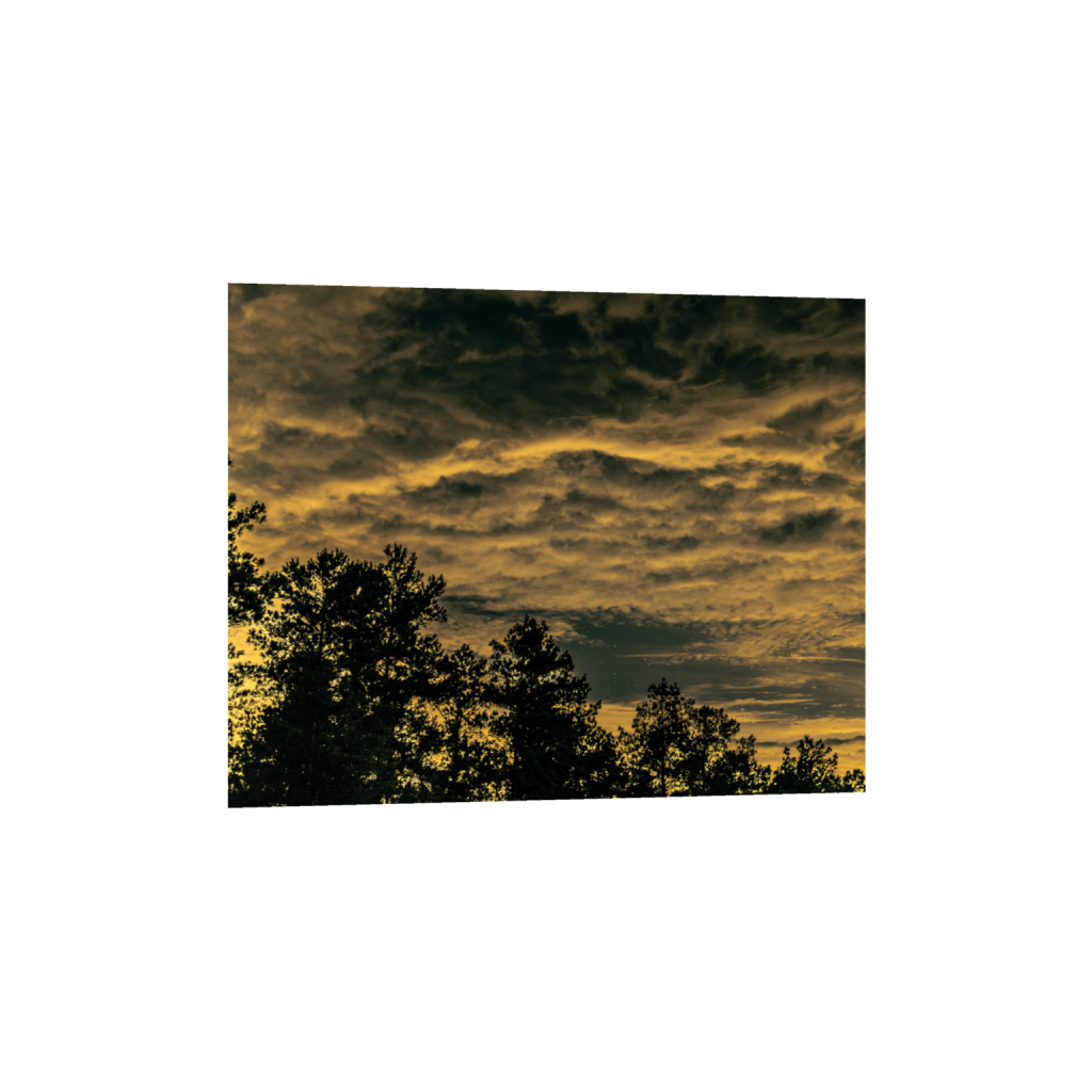 ptq_1_6_1410_0_6682_5346_0_false_ffffff_0_0_.png