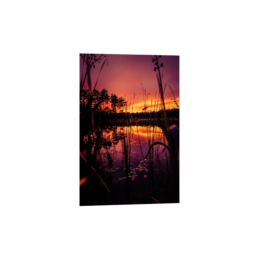 ptq_1_3_168_0_2688_4032_0_false_ffffff_0_0_.png