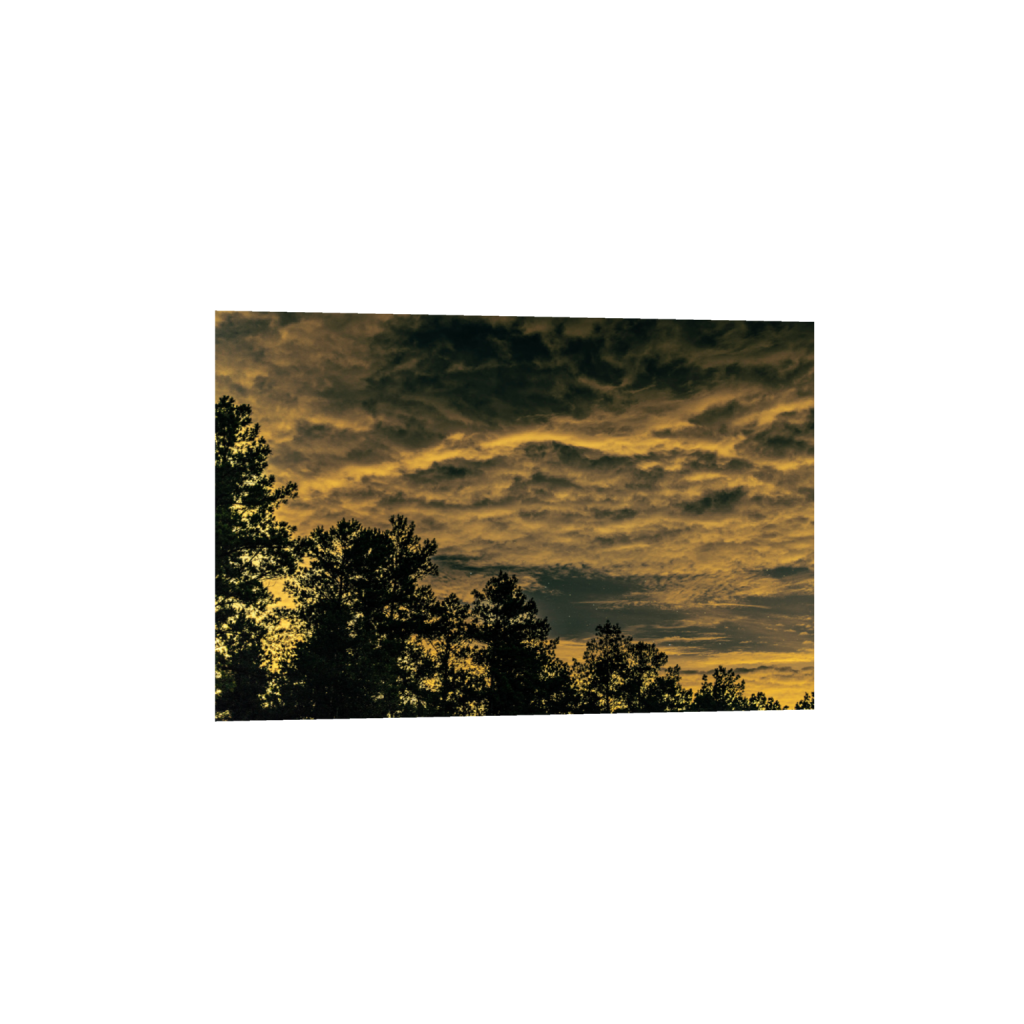 ptq_1_3_742_0_8019_5346_0_false_ffffff_0_0_.png