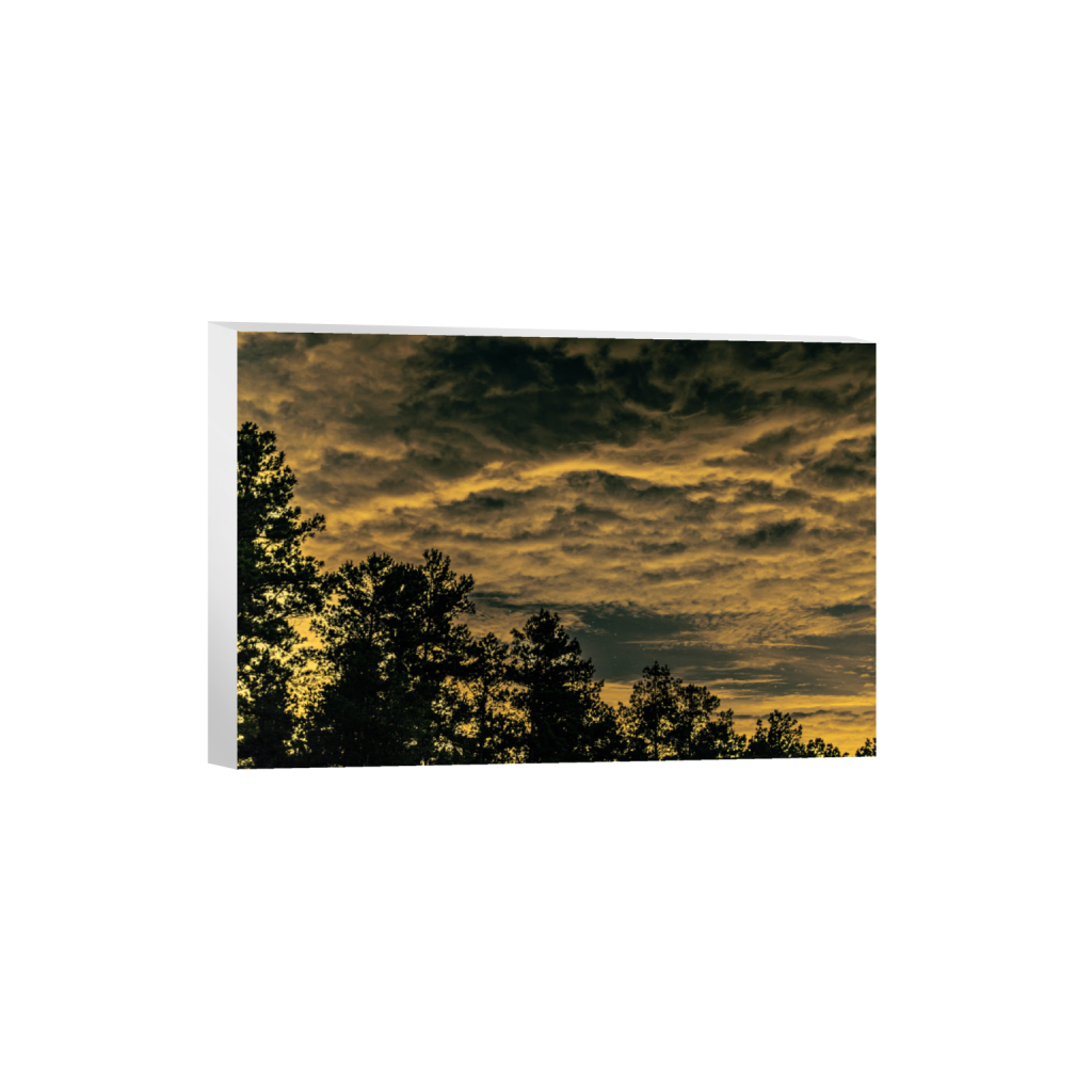 ptq_7_3_742_0_8019_5346_0_false_ffffff_0_0_.png