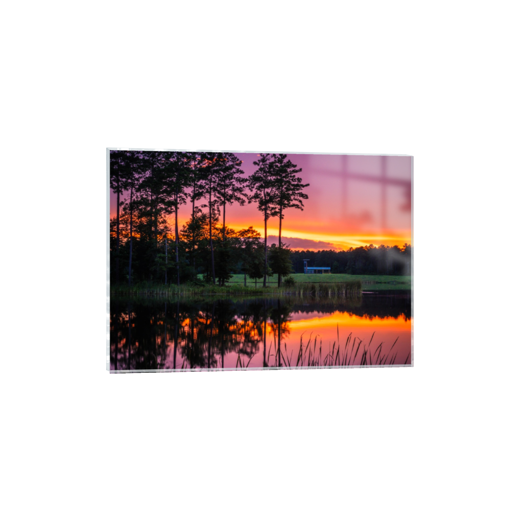 ptq_17_7_0_905_6336_4525_0_false_ffffff_0_0_.png