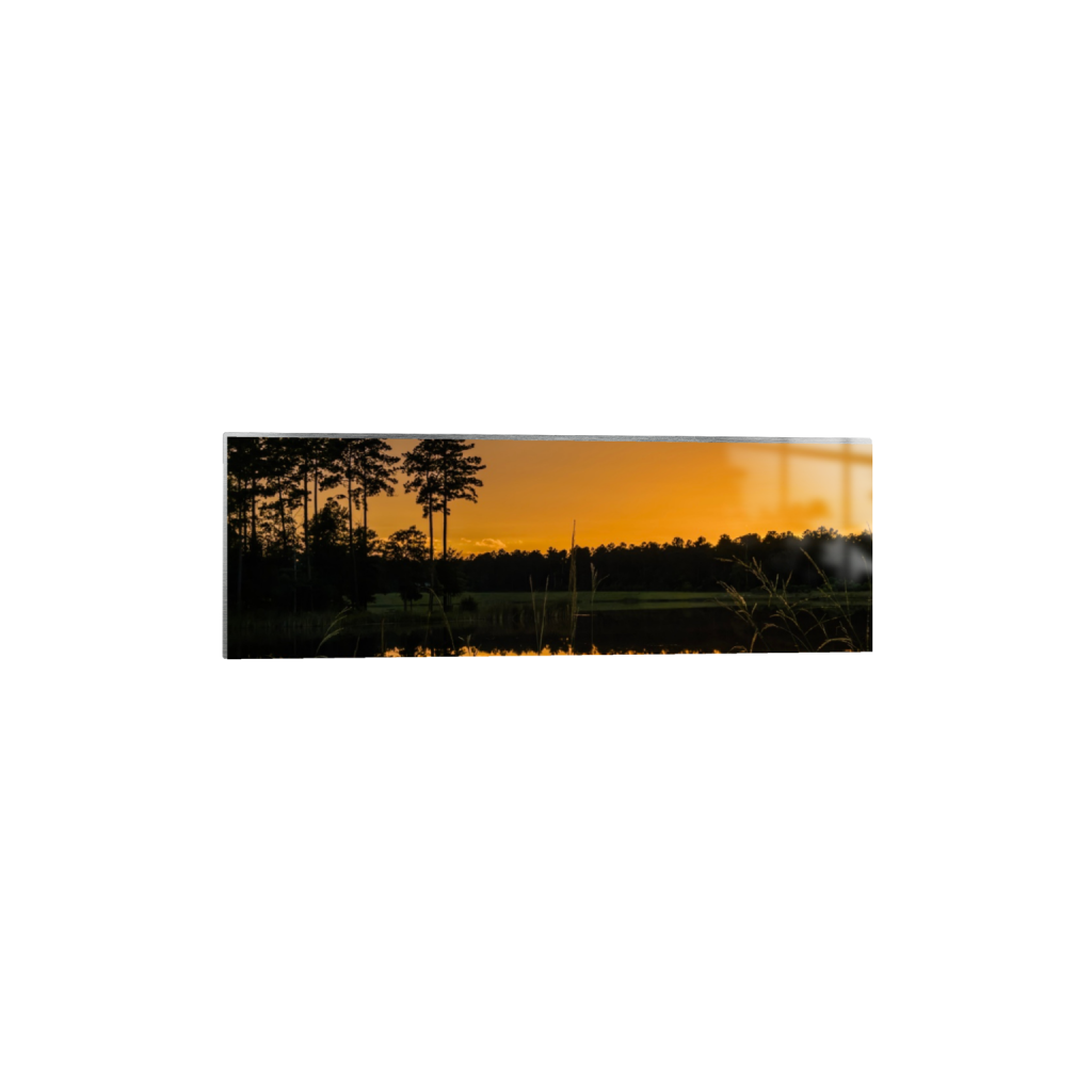 ptq_13_2_0_460_4014_1338_0_false_ffffff_0_0_.png